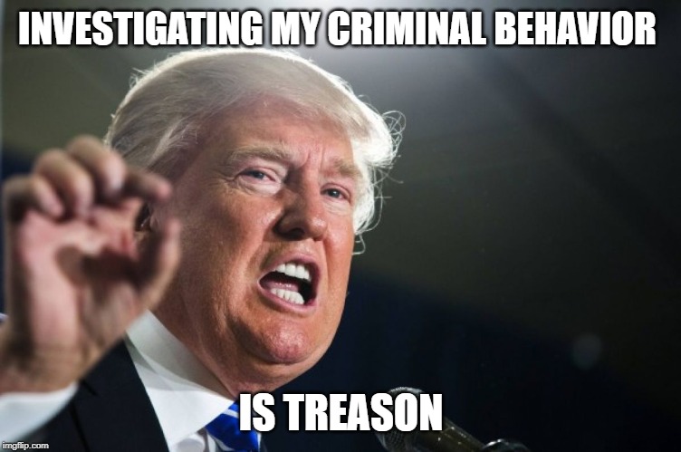 donald trump | INVESTIGATING MY CRIMINAL BEHAVIOR; IS TREASON | image tagged in donald trump | made w/ Imgflip meme maker