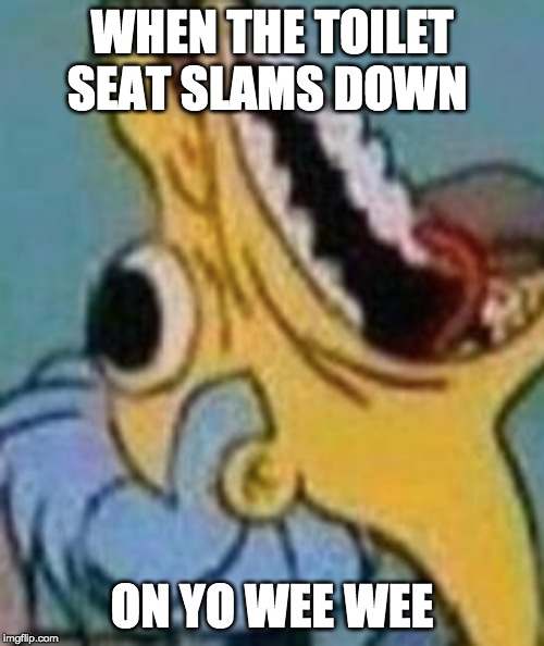 WHEN THE TOILET SEAT SLAMS DOWN; ON YO WEE WEE | made w/ Imgflip meme maker