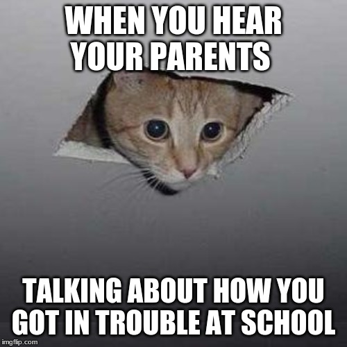 Ceiling Cat Meme | WHEN YOU HEAR YOUR PARENTS; TALKING ABOUT HOW YOU GOT IN TROUBLE AT SCHOOL | image tagged in memes,ceiling cat | made w/ Imgflip meme maker