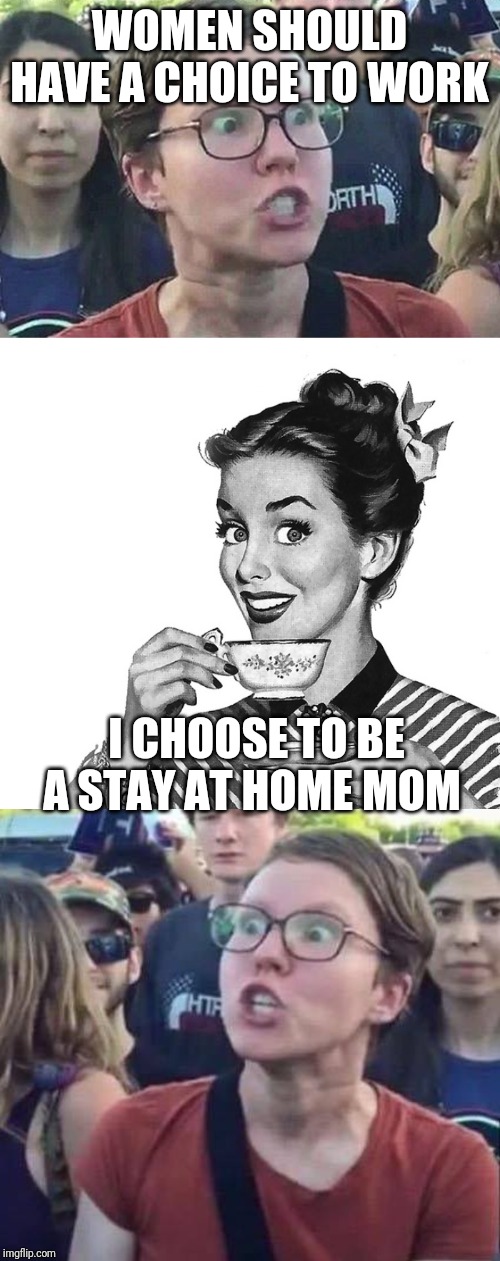 WOMEN SHOULD HAVE A CHOICE TO WORK; I CHOOSE TO BE A STAY AT HOME MOM | image tagged in 50s woman,triggered liberal,angry liberal | made w/ Imgflip meme maker