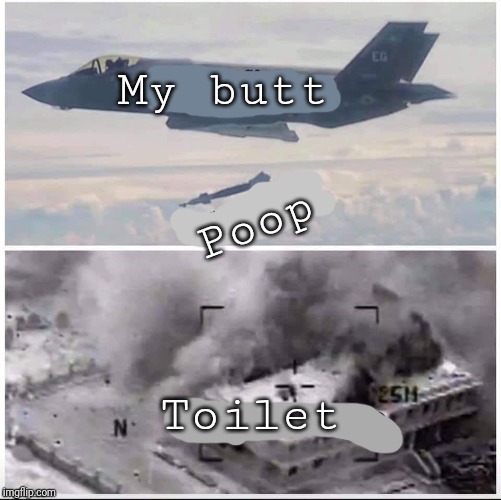 Airplane Bomber | My butt; Poop; Toilet | image tagged in airplane bomber | made w/ Imgflip meme maker