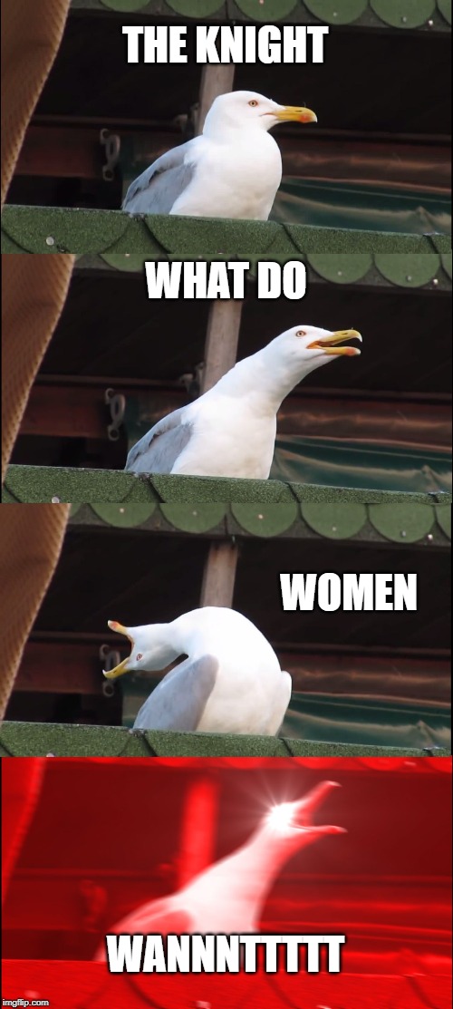 Inhaling Seagull | THE KNIGHT; WHAT DO; WOMEN; WANNNTTTTT | image tagged in memes,inhaling seagull | made w/ Imgflip meme maker