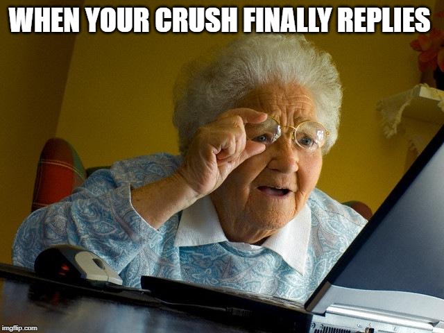 Grandma Finds The Internet Meme | WHEN YOUR CRUSH FINALLY REPLIES | image tagged in memes,grandma finds the internet | made w/ Imgflip meme maker