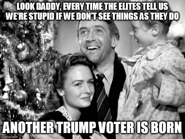 it's a wonderful life | LOOK DADDY, EVERY TIME THE ELITES TELL US WE'RE STUPID IF WE DON'T SEE THINGS AS THEY DO; ANOTHER TRUMP VOTER IS BORN | image tagged in it's a wonderful life | made w/ Imgflip meme maker