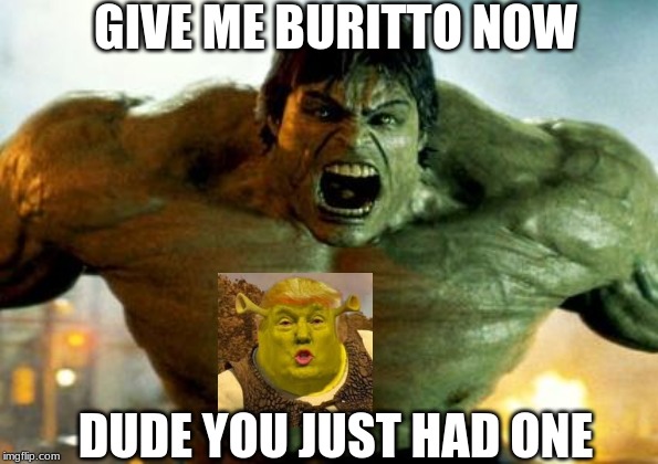 hulk | GIVE ME BURITTO NOW; DUDE YOU JUST HAD ONE | image tagged in hulk | made w/ Imgflip meme maker