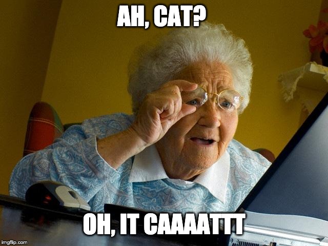 Grandma Finds The Internet | AH, CAT? OH, IT CAAAATTT | image tagged in memes,grandma finds the internet | made w/ Imgflip meme maker