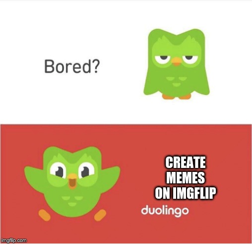 DUOLINGO BORED | CREATE MEMES ON IMGFLIP | image tagged in duolingo bored | made w/ Imgflip meme maker