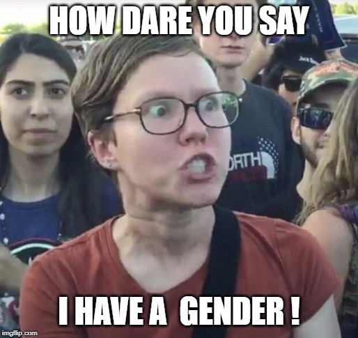 Triggered feminist | HOW DARE YOU SAY; I HAVE A  GENDER ! | image tagged in triggered feminist | made w/ Imgflip meme maker