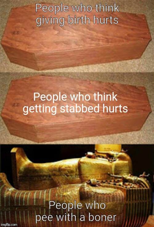 Golden coffin meme | People who think giving birth hurts; People who think getting stabbed hurts; People who pee with a boner | image tagged in golden coffin meme | made w/ Imgflip meme maker