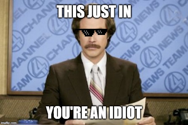 Ron Burgundy | THIS JUST IN; YOU'RE AN IDIOT | image tagged in memes,ron burgundy | made w/ Imgflip meme maker
