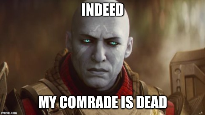 Destiny Zavala | INDEED; MY COMRADE IS DEAD | image tagged in destiny zavala | made w/ Imgflip meme maker