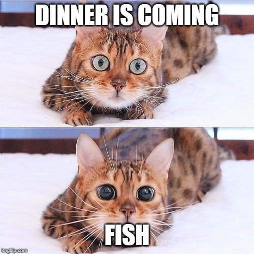 DINNER IS COMING; FISH | made w/ Imgflip meme maker