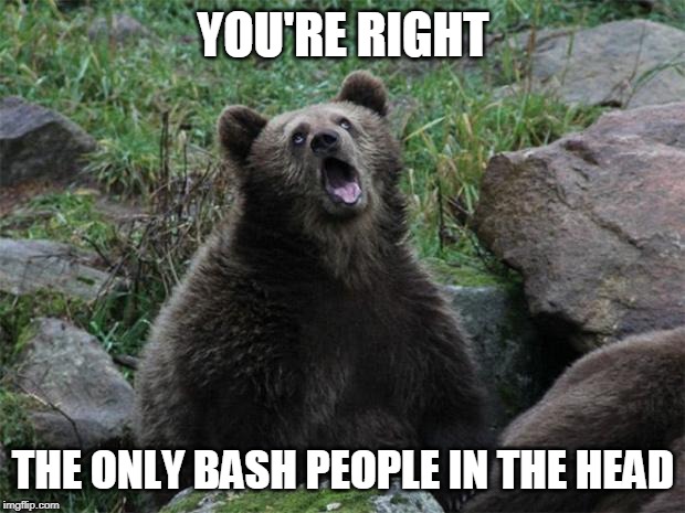Sarcastic Bear | YOU'RE RIGHT THE ONLY BASH PEOPLE IN THE HEAD | image tagged in sarcastic bear | made w/ Imgflip meme maker