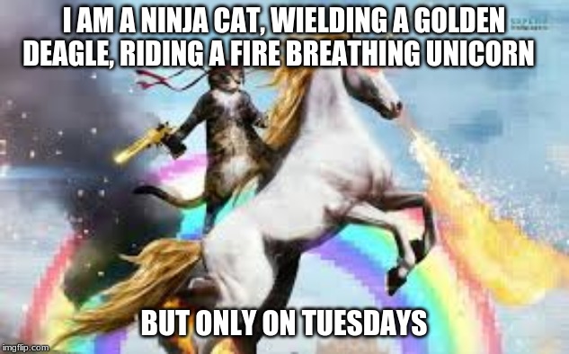 awesome | I AM A NINJA CAT, WIELDING A GOLDEN DEAGLE, RIDING A FIRE BREATHING UNICORN; BUT ONLY ON TUESDAYS | image tagged in awesome | made w/ Imgflip meme maker