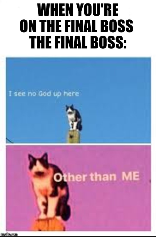 Better I see no God up here | WHEN YOU'RE ON THE FINAL BOSS 
THE FINAL BOSS: | image tagged in better i see no god up here | made w/ Imgflip meme maker