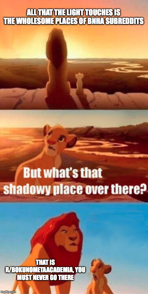 Simba Shadowy Place Meme | ALL THAT THE LIGHT TOUCHES IS THE WHOLESOME PLACES OF BNHA SUBREDDITS; THAT IS R/BOKUNOMETAACADEMIA, YOU MUST NEVER GO THERE | image tagged in memes,simba shadowy place | made w/ Imgflip meme maker