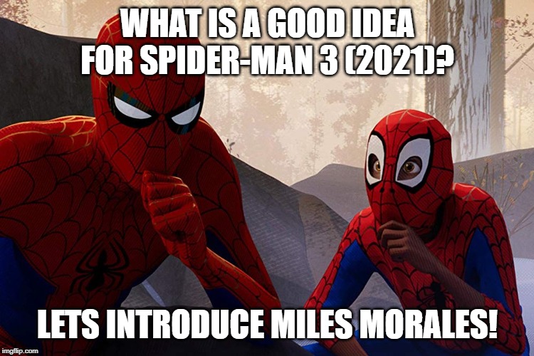 Learning from spiderman | WHAT IS A GOOD IDEA FOR SPIDER-MAN 3 (2021)? LETS INTRODUCE MILES MORALES! | image tagged in learning from spiderman | made w/ Imgflip meme maker