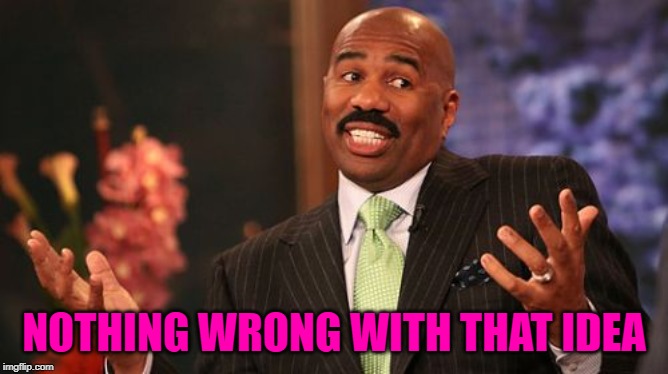 Steve Harvey Meme | NOTHING WRONG WITH THAT IDEA | image tagged in memes,steve harvey | made w/ Imgflip meme maker
