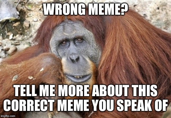 tell me more | WRONG MEME? TELL ME MORE ABOUT THIS CORRECT MEME YOU SPEAK OF | image tagged in tell me more | made w/ Imgflip meme maker