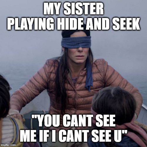 Bird Box | MY SISTER PLAYING HIDE AND SEEK; "YOU CANT SEE ME IF I CANT SEE U" | image tagged in memes,bird box | made w/ Imgflip meme maker