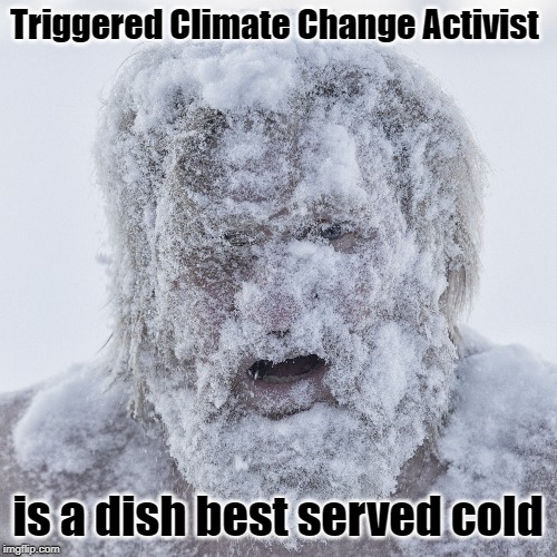 Climate Change is a dish best served cold | Triggered Climate Change Activist; is a dish best served cold | image tagged in climate change | made w/ Imgflip meme maker