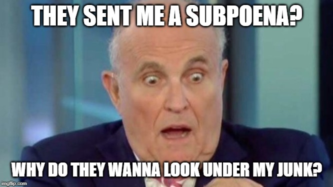 Got Something to Hide There? | THEY SENT ME A SUBPOENA? WHY DO THEY WANNA LOOK UNDER MY JUNK? | image tagged in rudy g | made w/ Imgflip meme maker