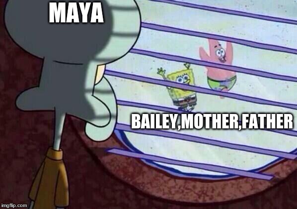Squidward window | MAYA; BAILEY,MOTHER,FATHER | image tagged in squidward window | made w/ Imgflip meme maker