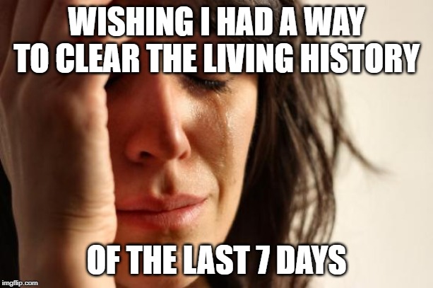 First World Problems | WISHING I HAD A WAY TO CLEAR THE LIVING HISTORY; OF THE LAST 7 DAYS | image tagged in memes,first world problems | made w/ Imgflip meme maker