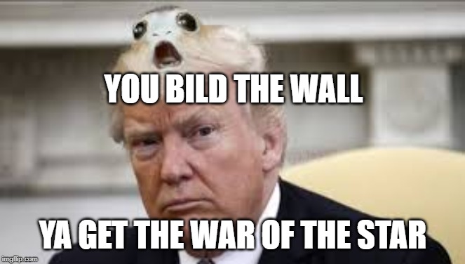 YOU BILD THE WALL; YA GET THE WAR OF THE STAR | image tagged in trump,star wars,bad hair,funny | made w/ Imgflip meme maker