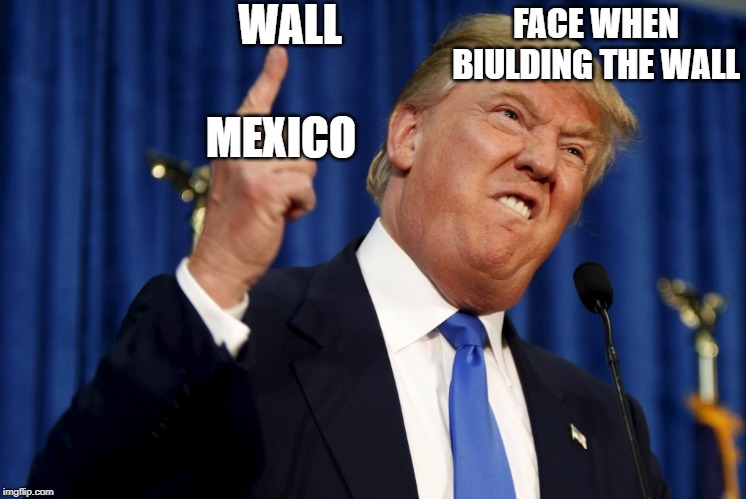 trumps discription of the wall | WALL; FACE WHEN BIULDING THE WALL; MEXICO | image tagged in donald trump,funny,wall,mexico,stupid face | made w/ Imgflip meme maker