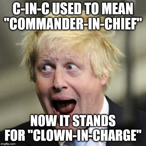 Boris Johnson | C-IN-C USED TO MEAN "COMMANDER-IN-CHIEF"; NOW IT STANDS FOR "CLOWN-IN-CHARGE" | image tagged in boris johnson | made w/ Imgflip meme maker