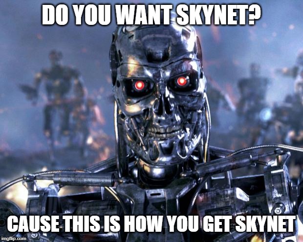 Terminator Robot T-800 | DO YOU WANT SKYNET? CAUSE THIS IS HOW YOU GET SKYNET | image tagged in terminator robot t-800 | made w/ Imgflip meme maker