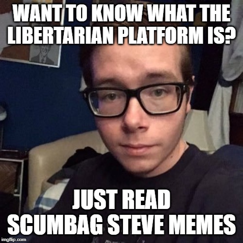WANT TO KNOW WHAT THE LIBERTARIAN PLATFORM IS? JUST READ SCUMBAG STEVE MEMES | image tagged in nikolas lemini | made w/ Imgflip meme maker