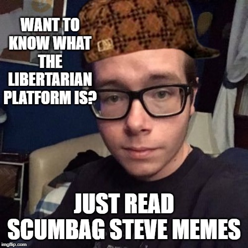 WANT TO KNOW WHAT THE LIBERTARIAN PLATFORM IS? JUST READ SCUMBAG STEVE MEMES | image tagged in nikolas lemini | made w/ Imgflip meme maker