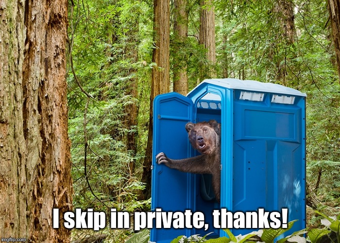 Outhouse Bear | I skip in private, thanks! | image tagged in outhouse bear | made w/ Imgflip meme maker