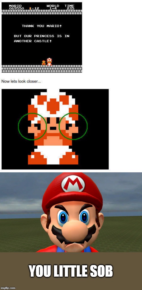TOAD IS A JERK | YOU LITTLE SOB | image tagged in super mario,super mario bros,toad | made w/ Imgflip meme maker