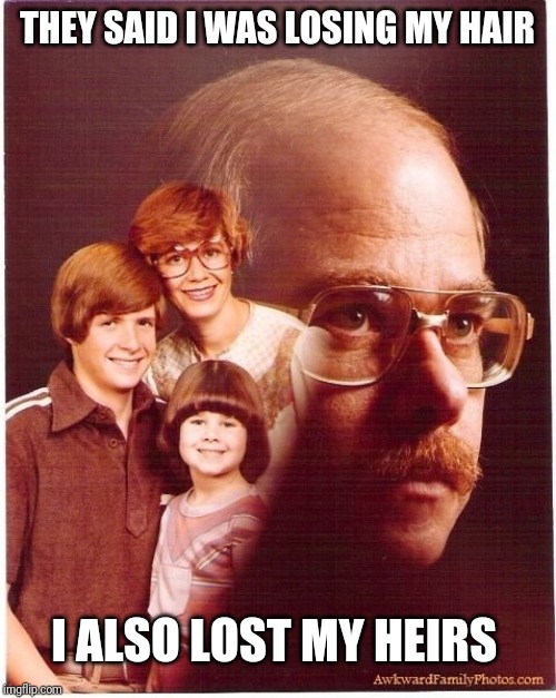 Vengeance Dad | THEY SAID I WAS LOSING MY HAIR; I ALSO LOST MY HEIRS | image tagged in memes,vengeance dad | made w/ Imgflip meme maker