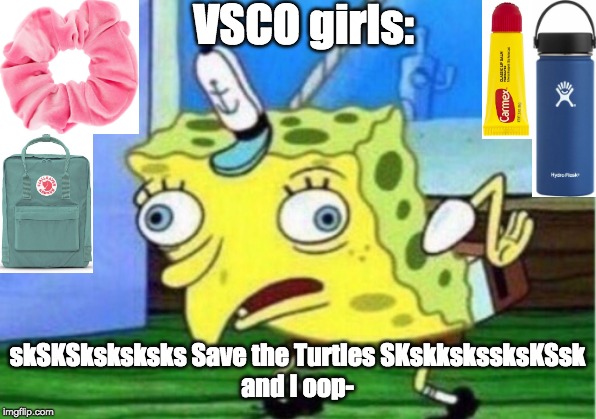 Mocking VSCO | VSCO girls:; skSKSksksksks Save the Turtles SKskkskssksKSsk
and I oop- | image tagged in memes,mocking spongebob | made w/ Imgflip meme maker