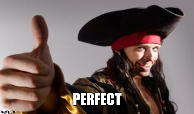 pirate thumbs up | PERFECT | image tagged in pirate thumbs up | made w/ Imgflip meme maker