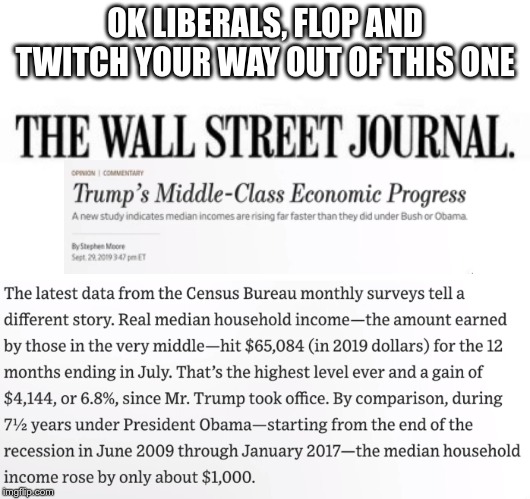 I love facts...they're so factual | OK LIBERALS, FLOP AND TWITCH YOUR WAY OUT OF THIS ONE | image tagged in trump,obama,economy | made w/ Imgflip meme maker