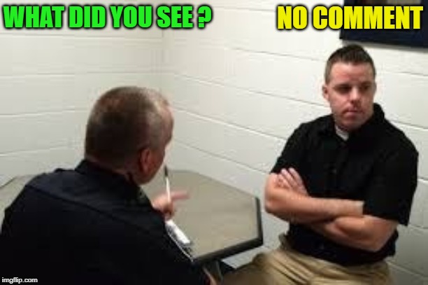 Police Interview | WHAT DID YOU SEE ? NO COMMENT | image tagged in police interview | made w/ Imgflip meme maker