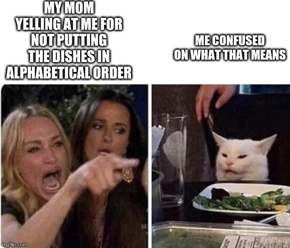 Ladies Yelling at Confused Cat | MY MOM YELLING AT ME FOR NOT PUTTING THE DISHES IN ALPHABETICAL ORDER; ME CONFUSED ON WHAT THAT MEANS | image tagged in ladies yelling at confused cat | made w/ Imgflip meme maker