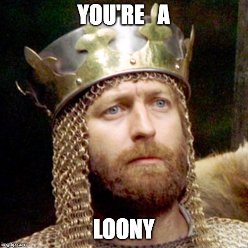 King Arthur | YOU'RE   A LOONY | image tagged in king arthur | made w/ Imgflip meme maker