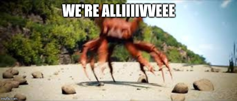 crab rave | WE'RE ALLIIIIVVEEE | image tagged in crab rave | made w/ Imgflip meme maker