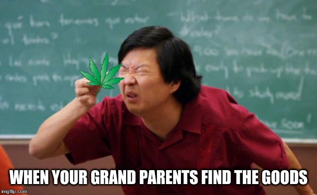 Tiny piece of paper | WHEN YOUR GRAND PARENTS FIND THE GOODS | image tagged in tiny piece of paper | made w/ Imgflip meme maker