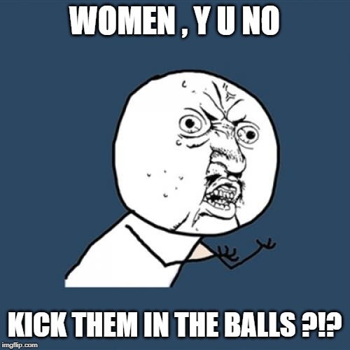 Y U No Meme | WOMEN , Y U NO KICK THEM IN THE BALLS ?!? | image tagged in memes,y u no | made w/ Imgflip meme maker