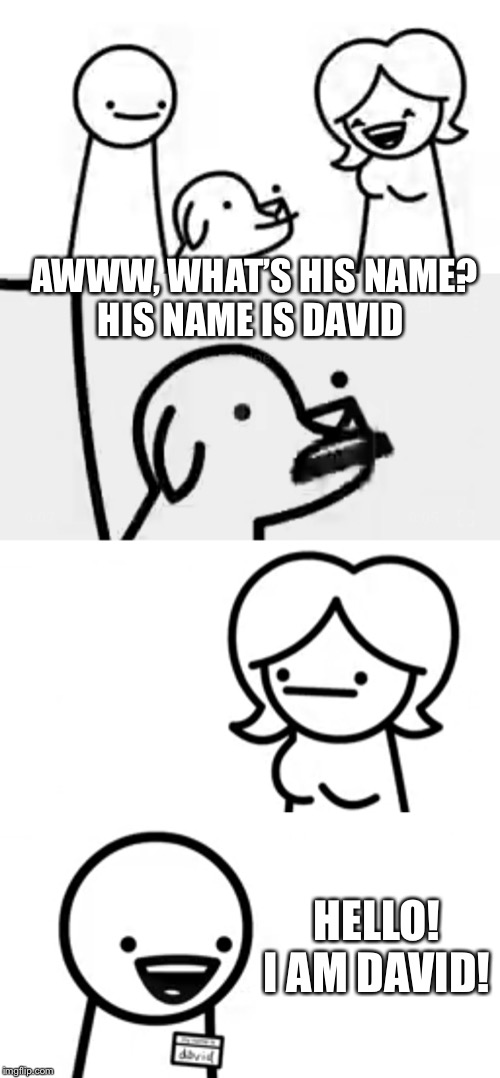 Asdf movie | AWWW, WHAT’S HIS NAME?
HIS NAME IS DAVID; HELLO! I AM DAVID! | image tagged in asdfmovie | made w/ Imgflip meme maker