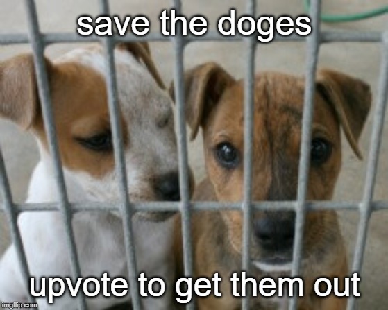  save the doges; upvote to get them out | made w/ Imgflip meme maker