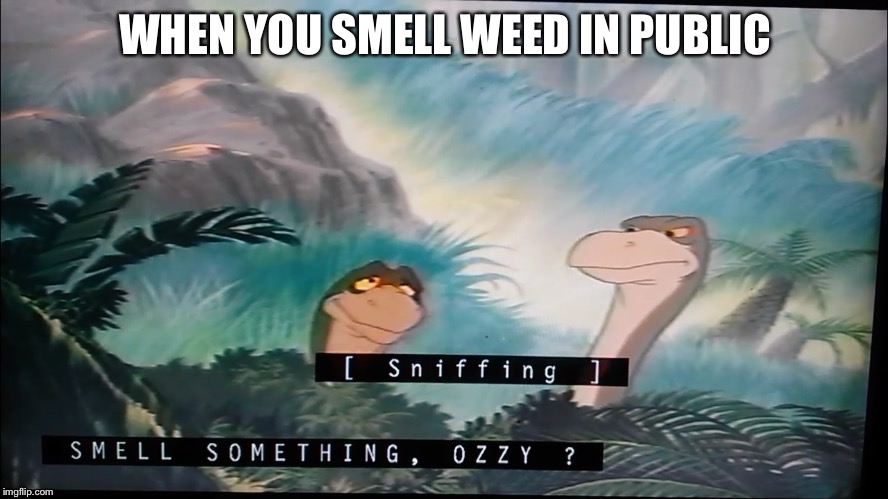 Smell something, Ozzy? | WHEN YOU SMELL WEED IN PUBLIC | image tagged in memes,smell something ozzy,land before time | made w/ Imgflip meme maker