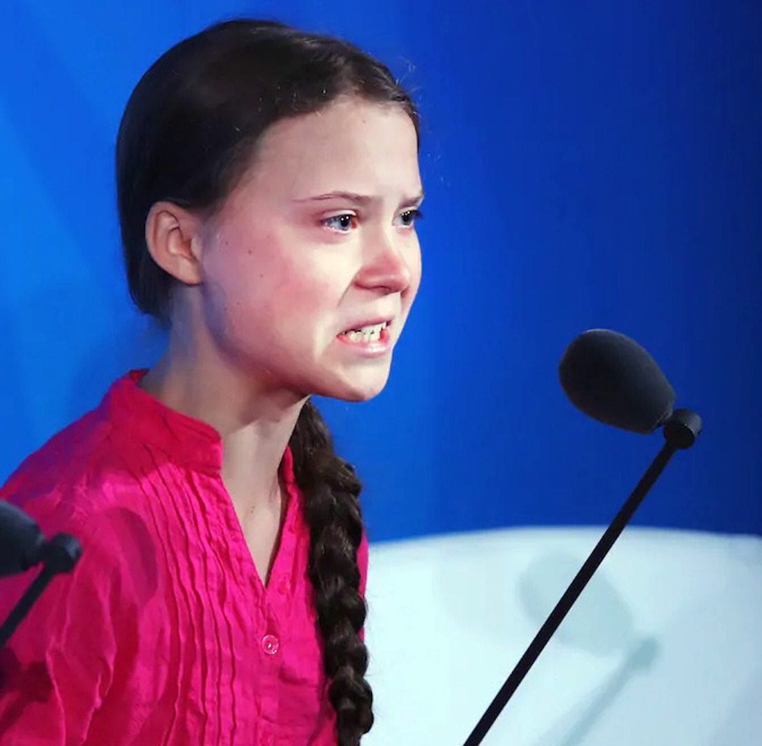 Ecofascist Greta Thunberg Blank Meme Template